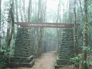 ~g(Lamington National Park)