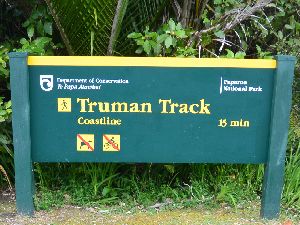 g[} gbN Truman Track