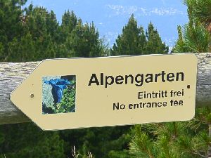 AyA(Alpengarten)