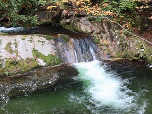 紅葉と水の流れ