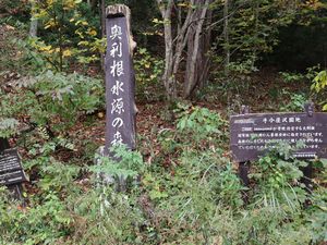 奥利根水源の森