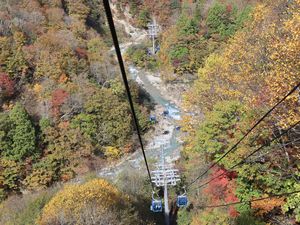 紅葉 苗場ドラゴンドラ 14号柱付近