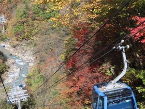 紅葉 苗場ドラゴンドラ