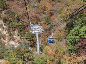 紅葉 ゴンドラ