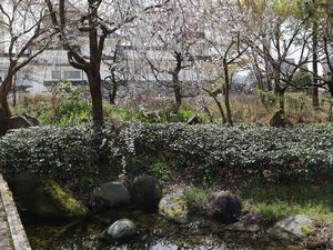 庭園