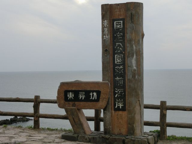 qV