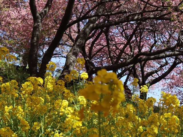 �͒Í��@���c�� 2025