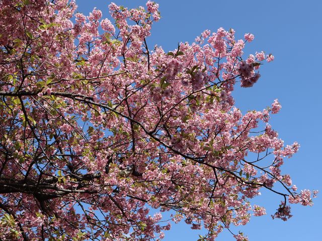 �͒Í��Ɛ�