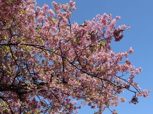 �͒Í��Ɛ�