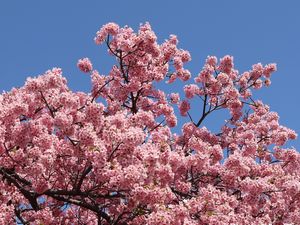 �͒Í��Ɛ�