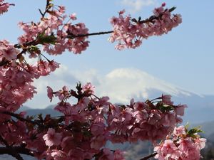 �x�m�R�Ɖ͒Í�